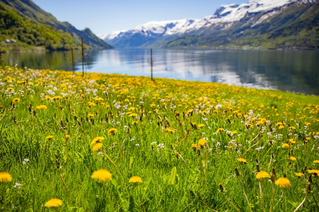 Forstå Skattestrukturen i Norge